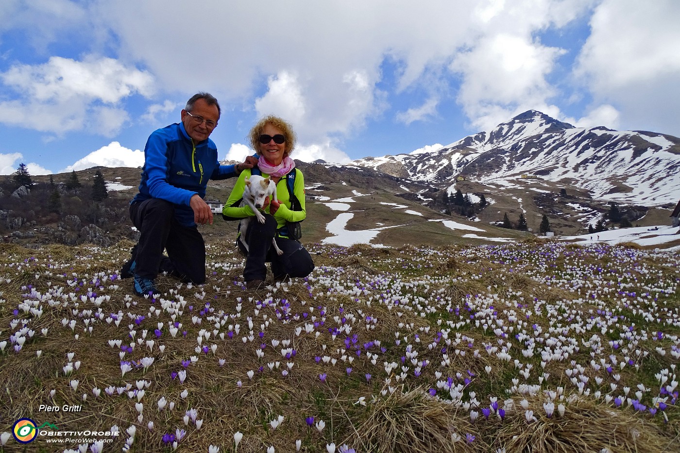 39 Distese di crocus ai Piani d'Artavaggio con Sodadura.JPG -                                